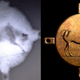 Left: An x-ray scan of the disc revealed the impression of a bull (Image: EUA). Right: Artist’s impression of the disc. (Alexander Tourtas)